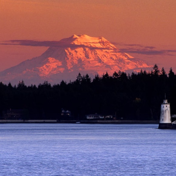 Meet your Posher, Rae - Picture 5 of 11